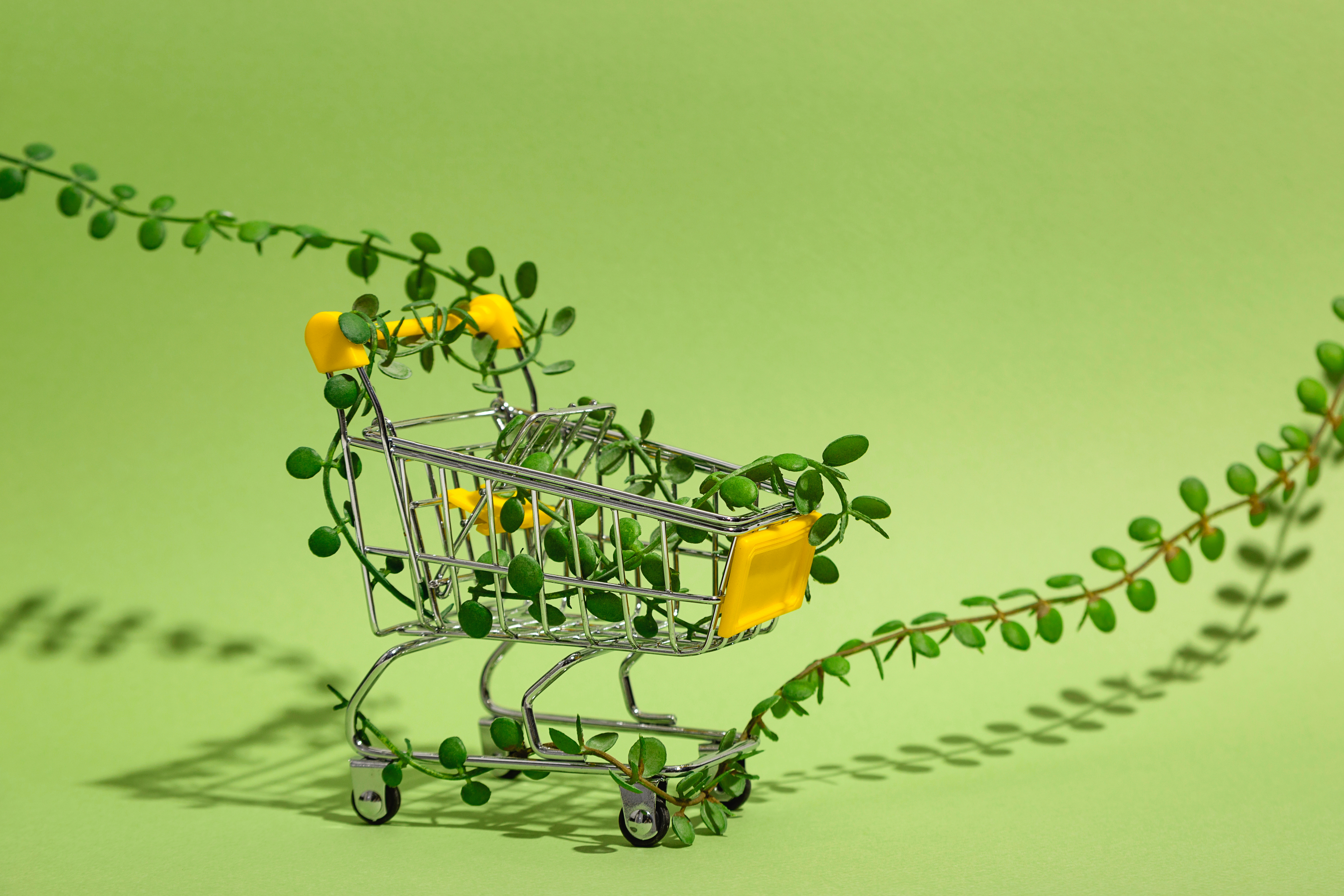 shopping-cart-covered-in-vines