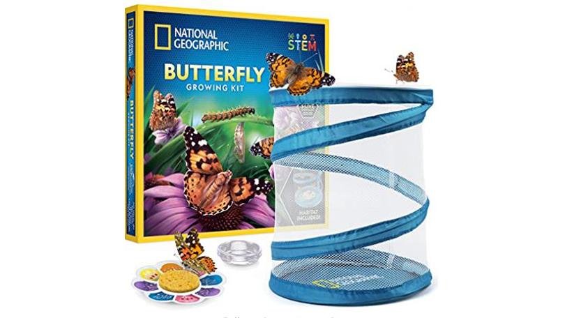 National Geographic Butterfly Growing Kit&nbsp;